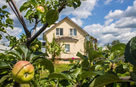 James R. Snell, Jr. Quoted by MarthaStewart.com